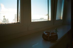 Vienna - 02-01-22